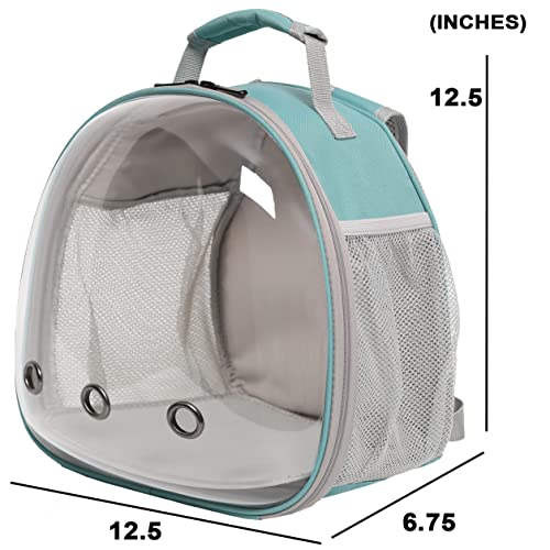 Bearded Dragon Travel Backpack with Harness and Leash Set (Green)