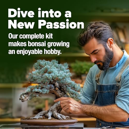 Bonsai Tree Starter Kit