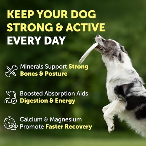 Bones & Energy Supplement Powder for Adult Dogs