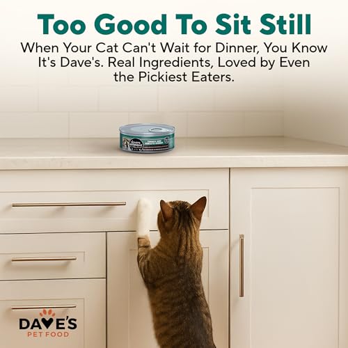 Grain Free Canned Cat Food (5.5 Ounce (Pack of 24))