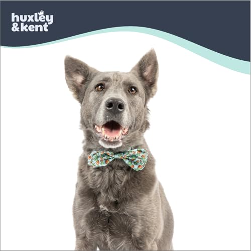 Pet Bow Tie for Dogs & Cats (Large)