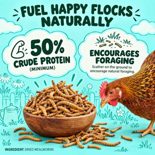 Dried Mealworms Treats for Chickens (10 Ounce (Pack of 1))