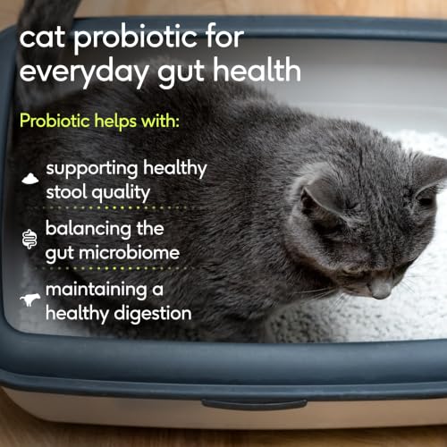 Probiotic for Cats (30-Day Supply)