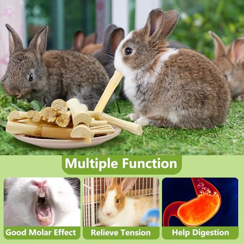 250g(0.55lbs) Sweet Bamboo Chew Sticks Rabbit Toys for Grinding
