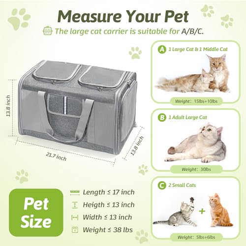Large Cat Carrier for 2 Cats (Grey(Large))