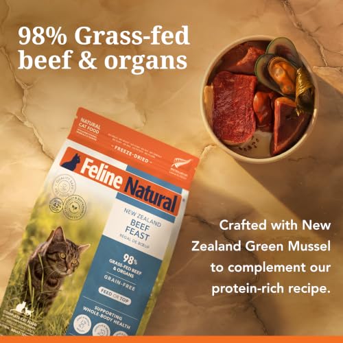 High Protein Freeze Dried Dry Cat Food with 98% Meat (11 Ounce (Pack of 1))