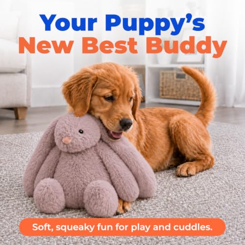 Bunny Buddy Squeaky Plush Dog Toy (Bunny (Mauve) / Small)