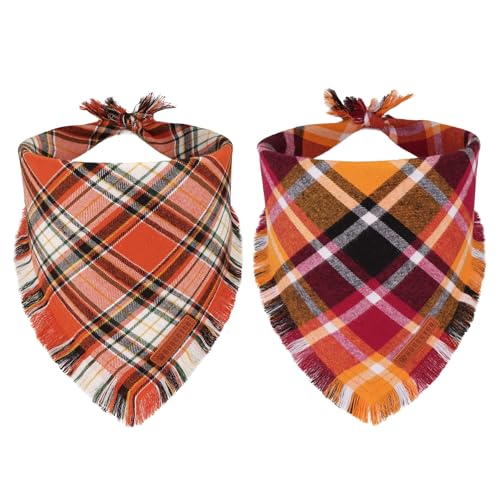 Fall Thanksgiving Dog Bandana (Large / Fall-2)