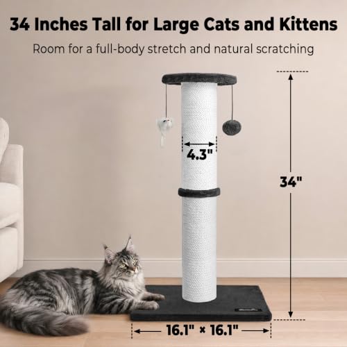 34 Inch Tall Cat Scratching Post for Large Cats (Black)