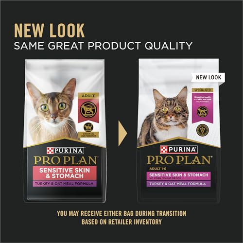 Sensitive Skin and Stomach Dry Cat Food Turkey and Oat Meal Formula (12.5 Pound (Pack of 1))