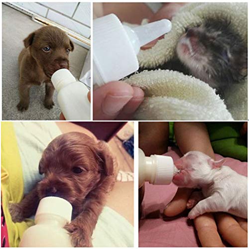 Pet Nursing Bottle Kits Nursing Bottle Kits Replacement Nipple Cat Feeding Bottle for Newborn Kittens