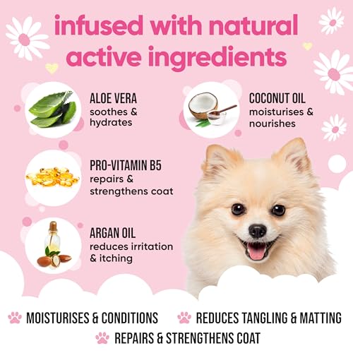 Baby Fresh Dog Conditioner (169.07 Fl Oz (Pack of 1))