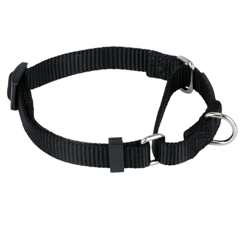 Martingale Dog Collar (Small / Black)