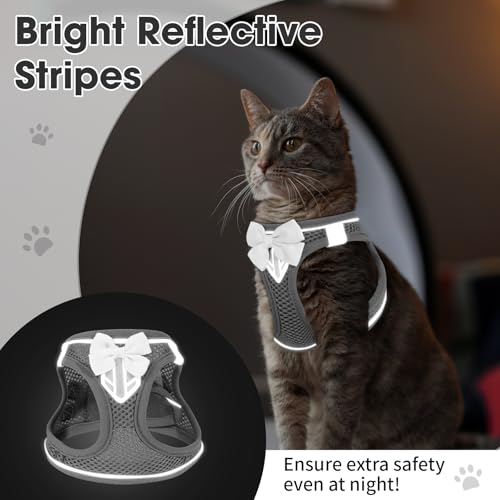 Cat Vest Harness and Leash Set (Grey / XS)