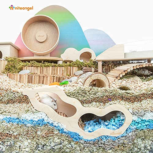 Hamster House w