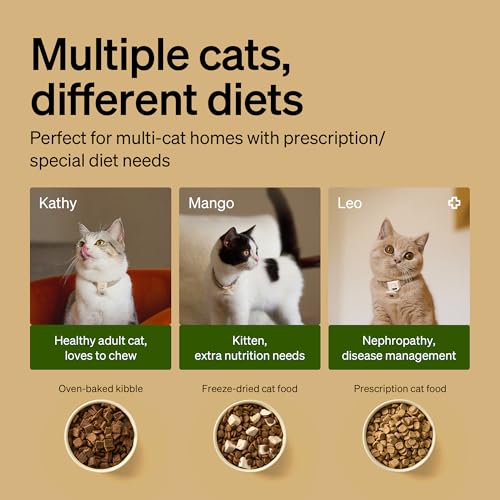 RFID Automatic Cat Feeder (White / 3L (Pack of 1))
