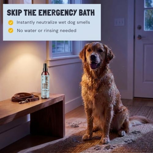 Dog Perfume Spray Long Lasting
