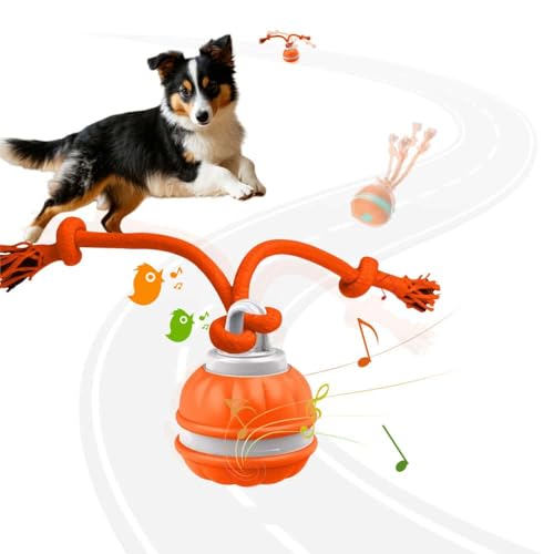 Interactive Dog Toys (A Orange)