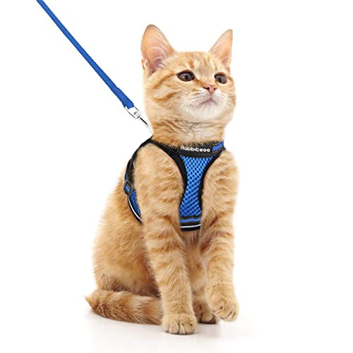 Cat Harness and Leash Set (M / Blue)