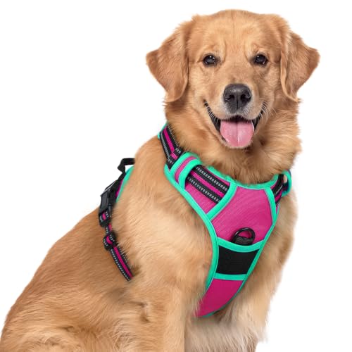 Dog Harness No Pull for Large Dogs with 2 Leash Clips (X-Large / Hot Pink & Turquoise)