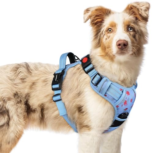 Dog Harness Medium Sized (Floral Blue / Medium)