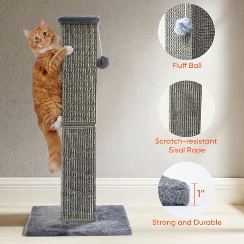 Cat Scratching Post for Indoor Cat (Dark Grey)