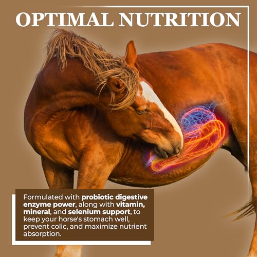 Economy Equine Supplement (10 Pound (Pack of 1))