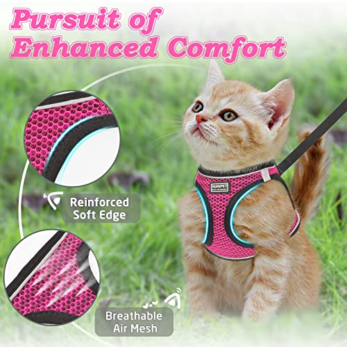 Cat Harness and Leash for Walking Escape Proof (XS / Pink)
