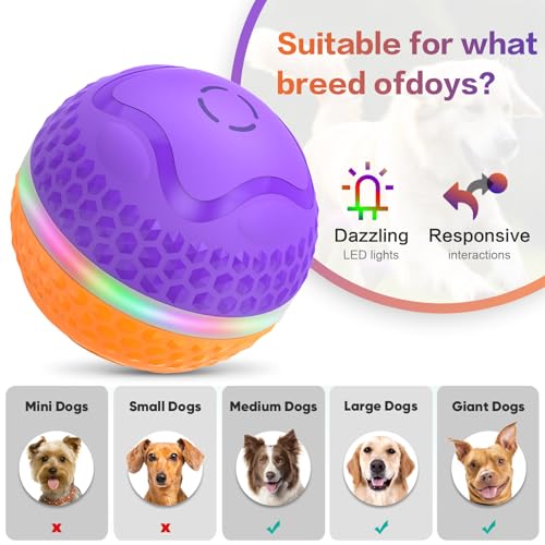Interactive Dog Toys Ball