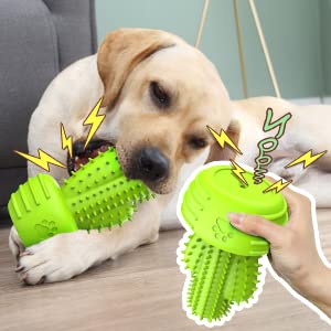 Dog Chew Toys & Teeth Cleaning Brush (For Large Dog / Grassgreen)