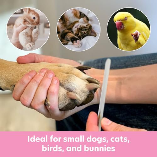 Pet Nail File for Small Pets