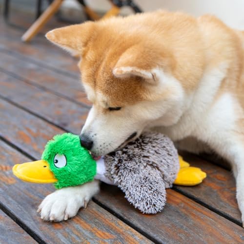 Interactive Squeaky Dog Chew Toy (Mallard Duck (Gray) / Small)