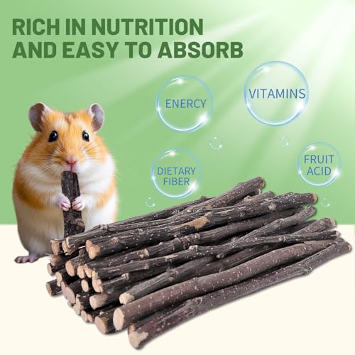 Apple Wood Chew Sticks (10.58 Ounce (Pack of 1))
