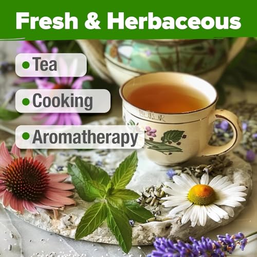6 Medicinal Herb Variety Vault 2000+ Seeds Garden Kit