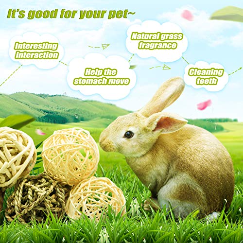 8 Pcs Small Animals Play Balls Rolling Activity Chew Toys Gnawing Treats for Rabbits Guinea Pigs Chinchilla Bunny Natural Balls (8 Pcs+ Pine cone)