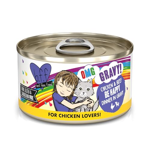 B.F.F. OMG Best Feline Friend Oh My Gravy! (2.8 Ounce (Pack of 12))