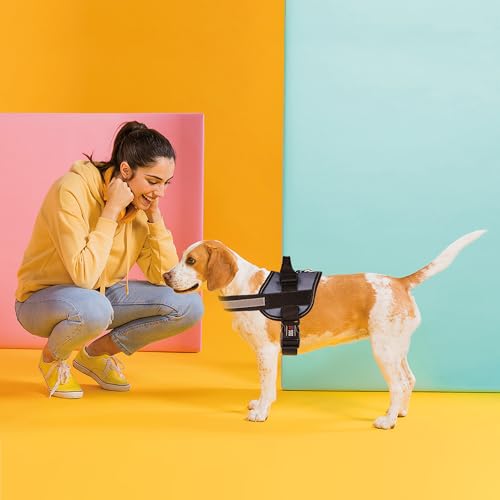 Dog Harness Reflective No (Grey / Girth 18" to 24")