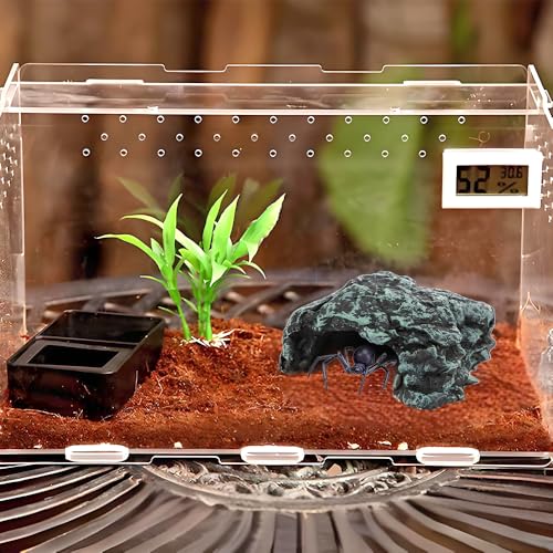 Spider Hide Shelter