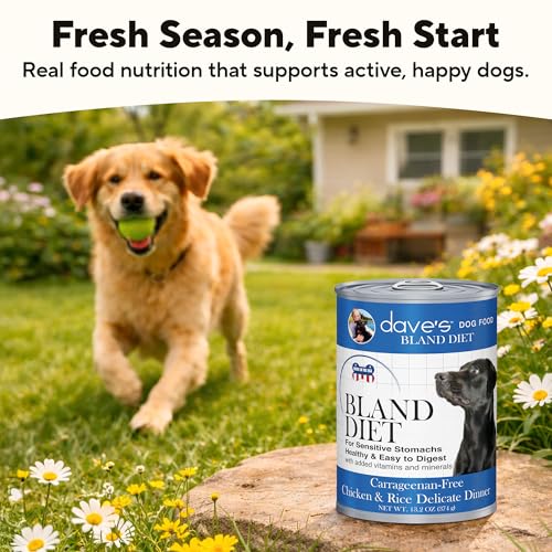 Bland Diet Dog Food (13.2 Ounce (Pack of 12))