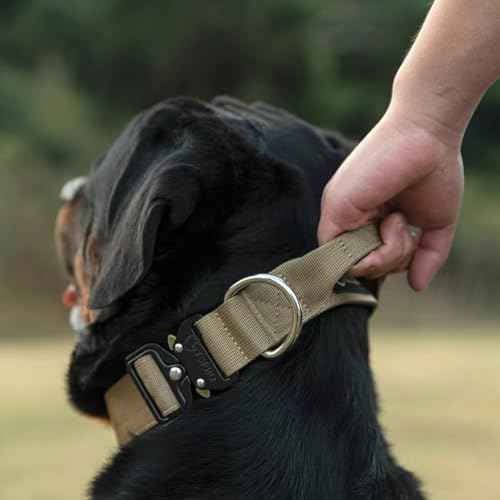 Tactical Dog Collar (Basic Purple - Handle Style / L: Neck 17.5" to 24.5")