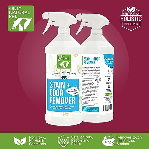 Stain & Odor Remover (32oz (Pack of 1))