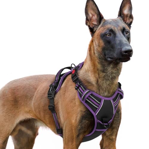 Dog Harness for Large (Black & Purple / X-large)
