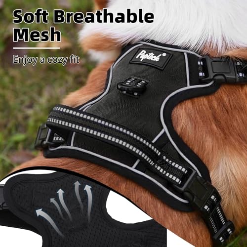 No Pull Dog Harness Medium Sized (Black / Medium)