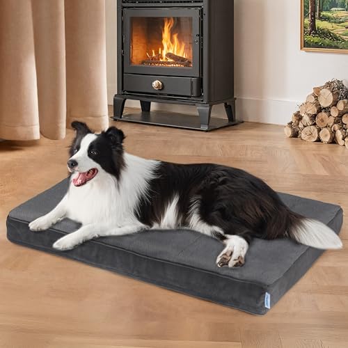 Dog Bed for Large Dog (Dark / 35"L x 23"W x 3"H)