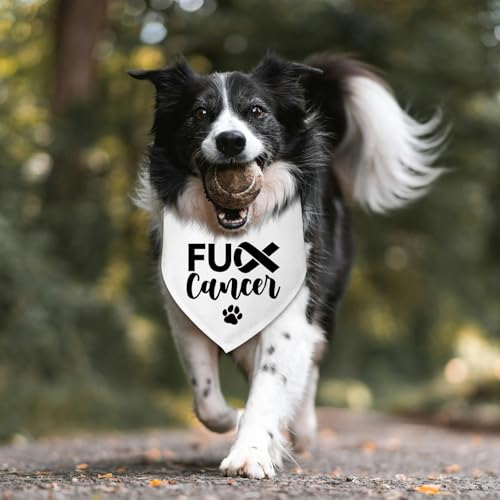 Breast Cancer Dog Bandana (R)