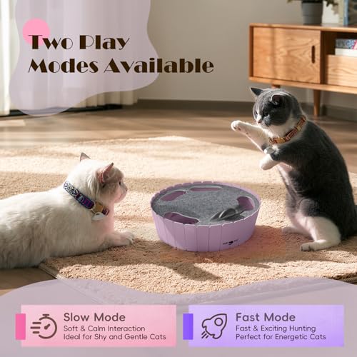 Interactive Cat Toy with Running Mouse (P-Purple)