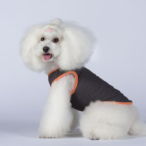 2 Pack Cooling Shirts for Dogs (S(chest:10-12") / Black&Orange)