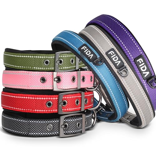 Padded Dog Collar for Small Dogs with Metal Belt Buckle (Small(11”-14.5“) / Purple)