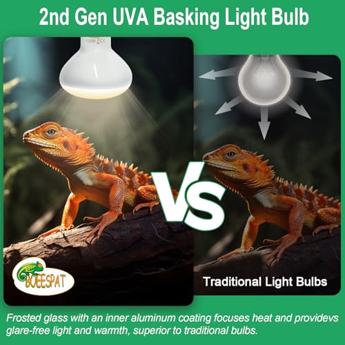 Pack of 2 Reptile Basking Light Bulbs (Uva Bulbs (2pcs) / 100W)