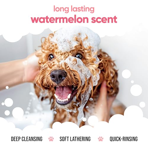 Watermelon Dog Shampoo by Buddycare (169.07oz)